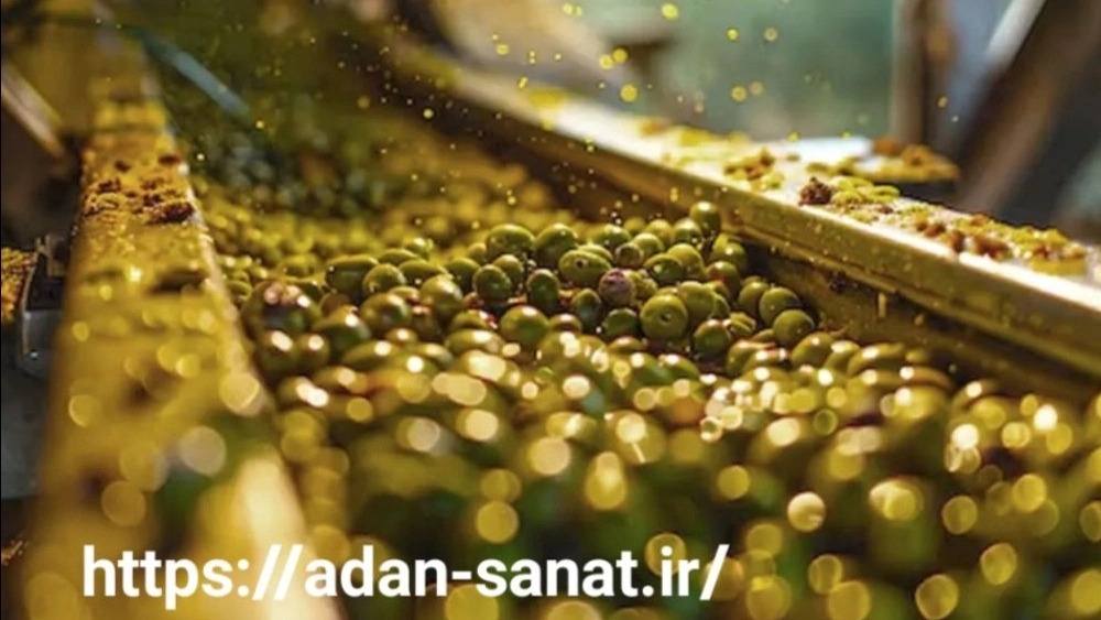Olive Production Line in Shiraz
