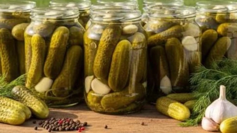 Adan Sanat pickling and pickle packing machine; Complete processing and packaging solution