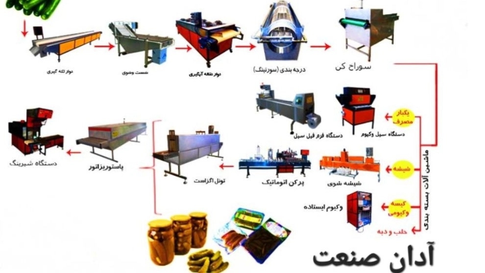صفر تا صد بسته-بندی خیارشور و زیتون؛ از طراحی تا فروش در بازار با راهنمای کامل