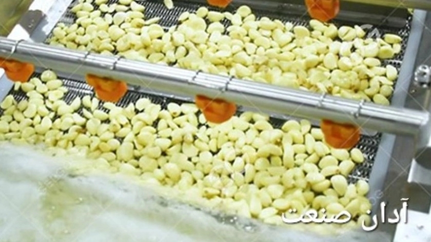 Design and manufacture of garlic and pepper strips for the Shaurijat production line