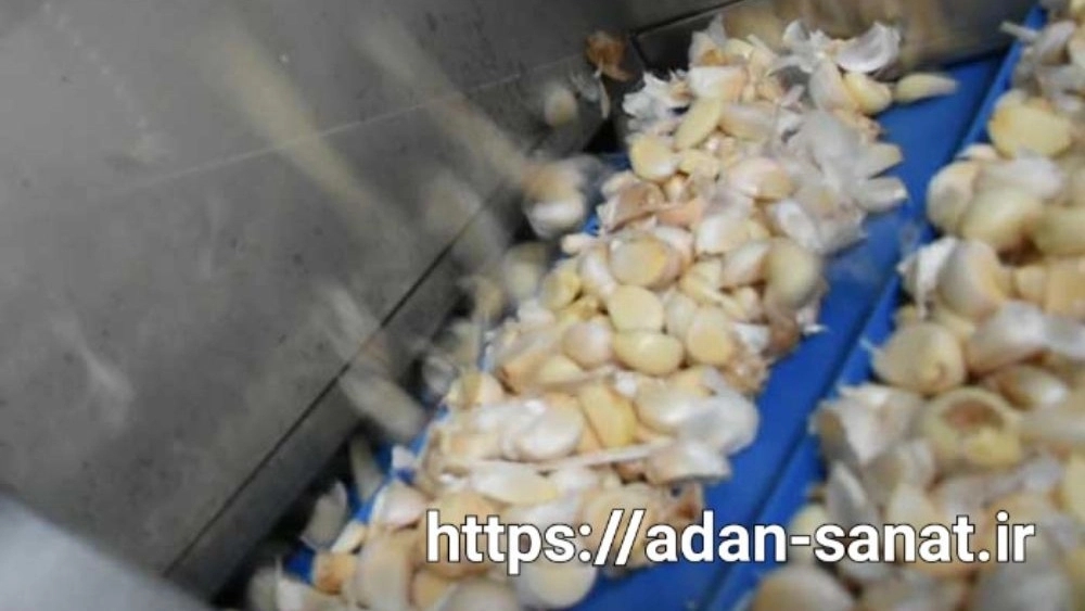 Design and manufacture of garlic and pepper bar with advanced steel equipment