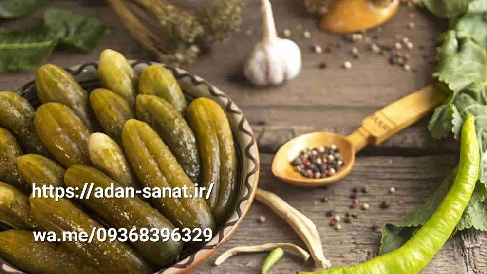 خرید و قیمت خط تولید خیارشور و ترشیجات در شیراز آدان صنعت