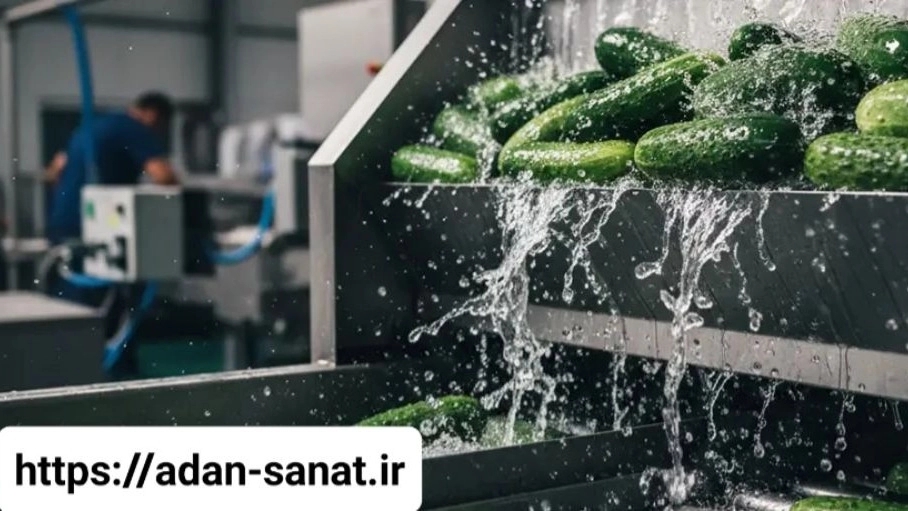 Principles of safety and health in the production line of industrial pickled cucumbers to increase the productivity and health of employees Principles of safety and health in the production line of industrial pickled cucumbers to increase the productivity and health of employees