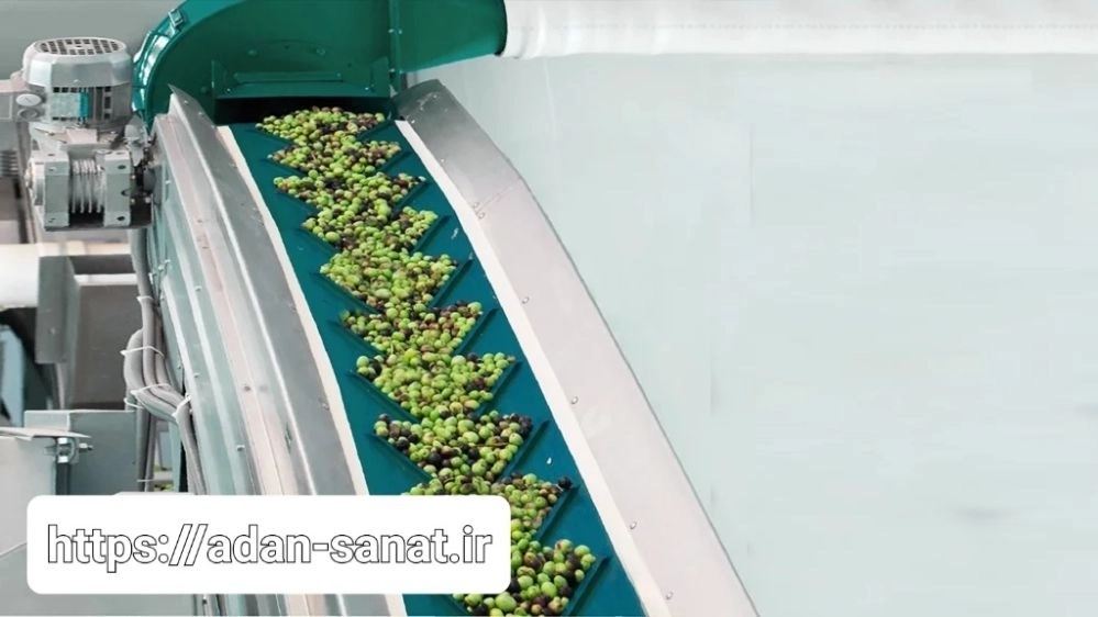 The importance of the olive grading machine in increasing the quality and profitability of producers The importance of the olive grading machine in increasing the quality and profitability of producers
