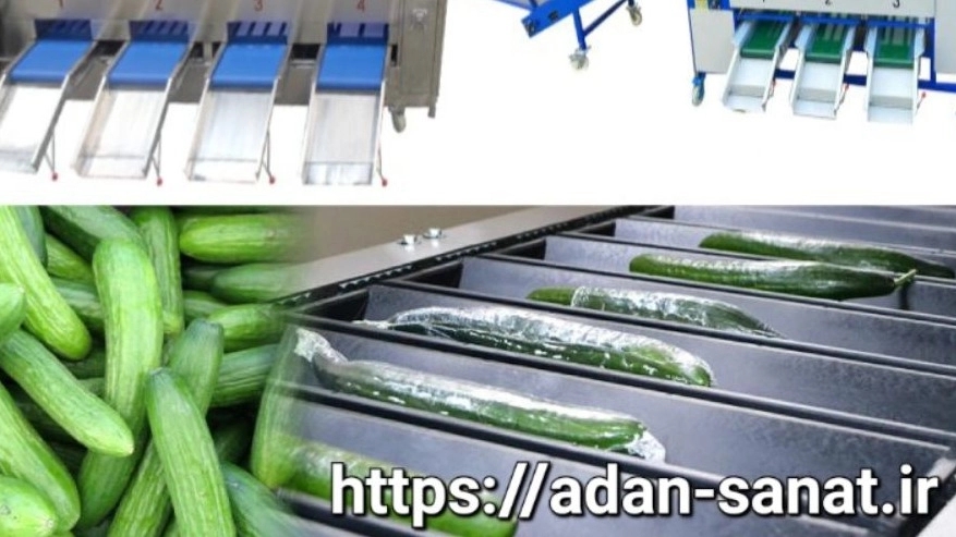 Increasing factory productivity by using advanced steel pickled cucumber production line Increasing factory productivity by using advanced steel pickled cucumber production line